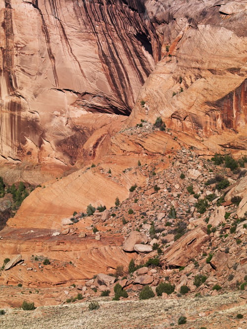 Preview: View Of Red Rocks And Bushes.