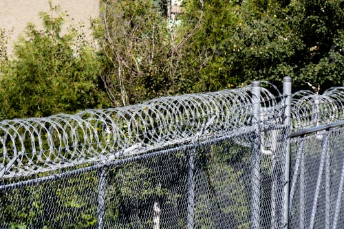 Preview: A Chain Link Fence Topped With A Coil Of Razor Wire With A Leafy Green Background