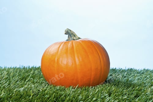 Preview: Image Of A Halloween Pumpkin Over Grass Against Blue Background.