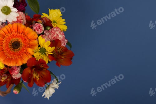 Preview: Beautiful Flowers And Gift Box With Ribbon