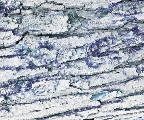 Preview: Aged Rustic Tree Bark Texture Background