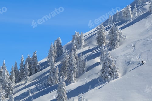 Preview: Skiing Powder Snow