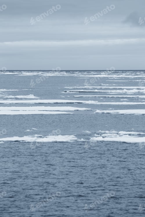 Preview: Antarctic Ices And Majestic Glaciers