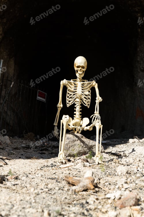 Preview: Skeleton In The Mouth Of A Dark Hole In The Ground