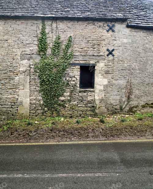 Preview: A Small Patch Of Wild Vines On A Stone Building