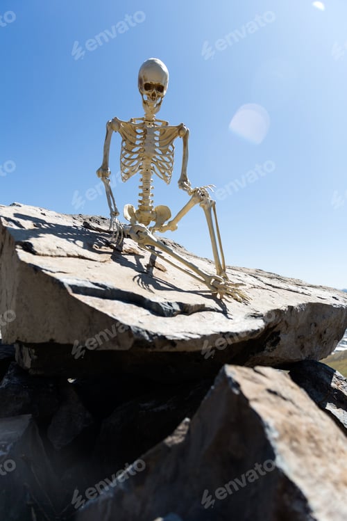 Preview: Skeleton Sitting On Rocks In The Desert With A Beautiful Blue Sky
