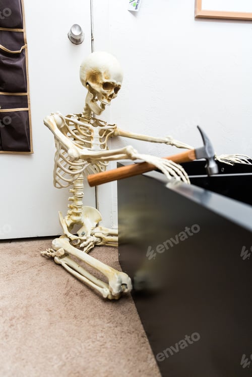 Preview: Bony Skeleton Assembling A Black Wooden Shelf