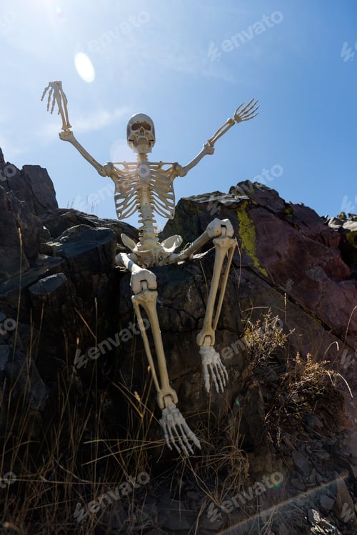 Preview: Backlit Skeleton Looms Creepily On Rocks In The Desert