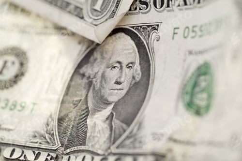 Preview: Macro Image of a United States One Dollar Bill