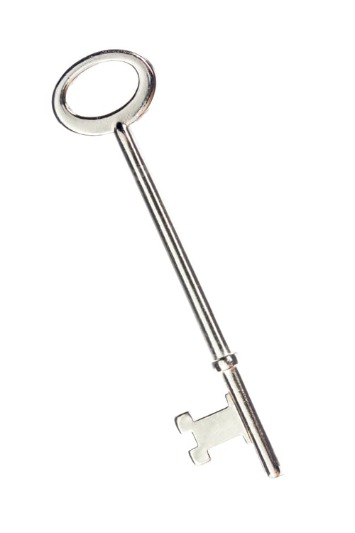Preview: Shiny Metal Skeleton Key On White Background