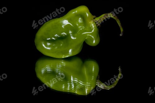 Preview: Close Up Image Green Habanero Pepper Against Black Background