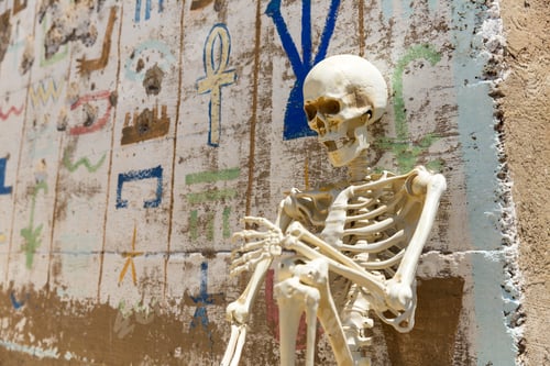 Preview: Skeleton Hanging Out At Ludwig Mine Nevada Ruins