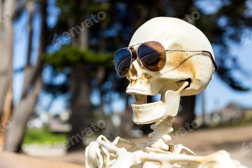 Preview: Close Up Of Skeleton'S Face With Coastal Tree Background