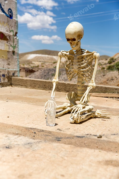 Preview: Skeleton Worshipping A Bottle Of Water At Ludwig Mine Nevada Ruins