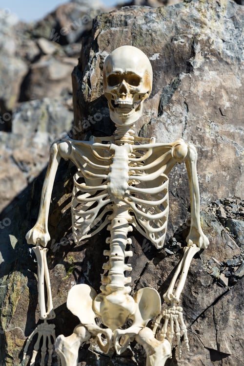 Preview: Skeleton Standing Against Rocks In The Desert