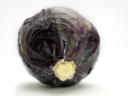 Vorschau: Ganzer Rotkohl isoliert auf weißem Hintergrund