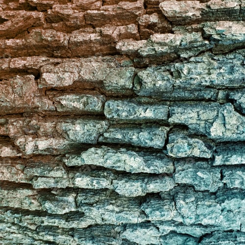 Preview: Aged Rough Rustic Wooden Bark Or Rock Texture