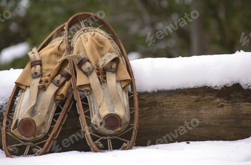 Preview: Old Snowshoes To Walk In The Snow