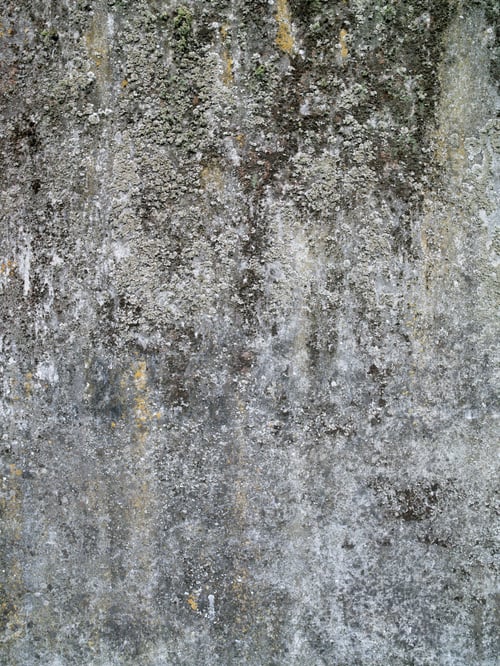 Preview: High Definition Photograph Of A Ancient Worn Wall In Italy
