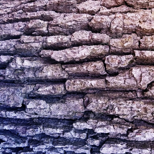 Preview: Aged Weathered Old Wood, Tree Bark Texture Background