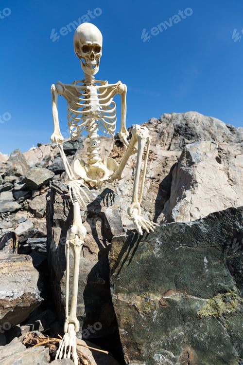 Preview: Skeleton Sitting On Rocks In The Desert With A Beautiful Blue Sky