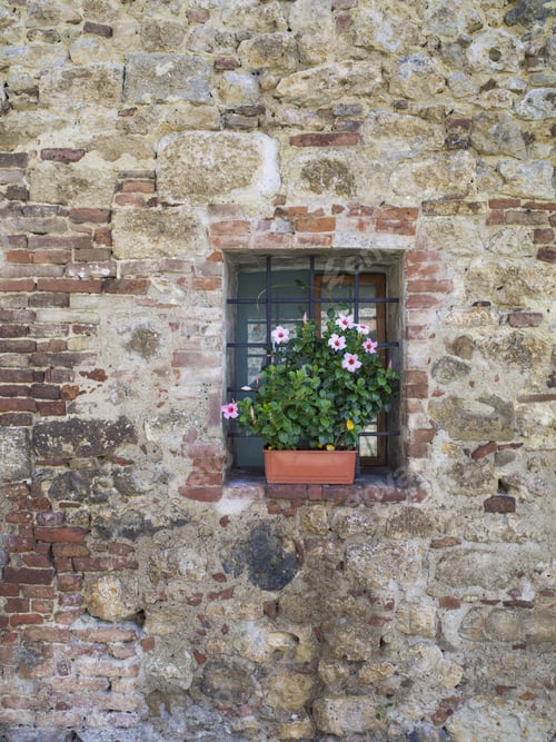 Preview: Vertical Image Of An Aging Wall With Small Window Decorated With Flowers