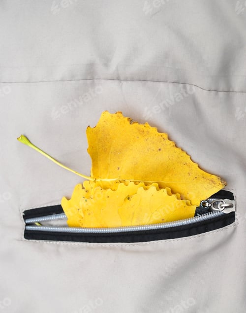 Preview: Yellow Leafs In Fall Time