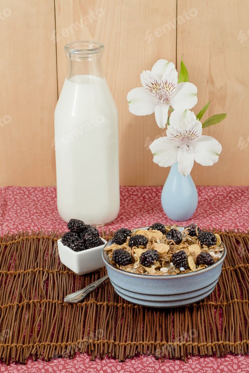 Preview: Breakfast Cereal
