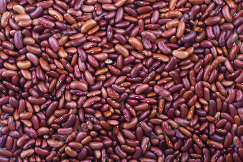 Preview: Kidney Bean Background