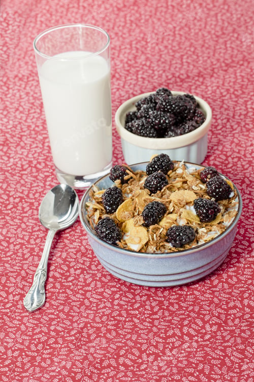Preview: Breakfast Cereal With Berries