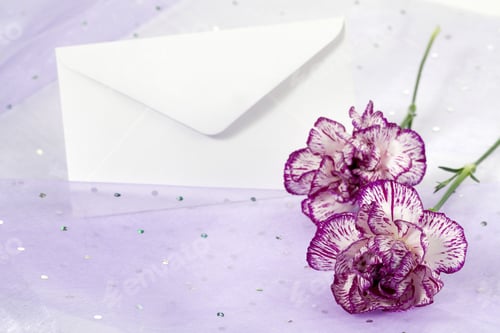 Preview: Carnation Nature Flora