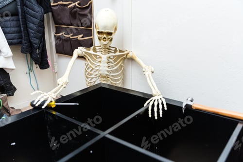 Preview: Bony Skeleton Assembling A Black Wooden Shelf