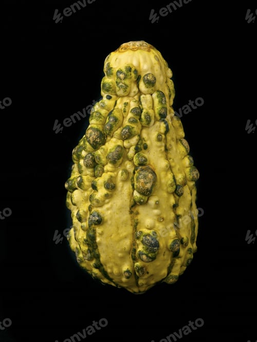 Preview: Small Gourd Isolated On Black Background.