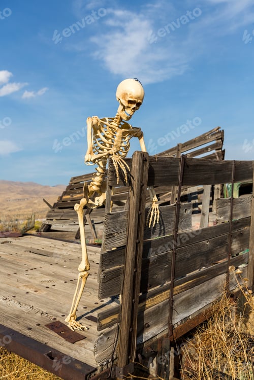 Preview: Skeleton Standing On An Old Truck Bed In A Dead Grass Field