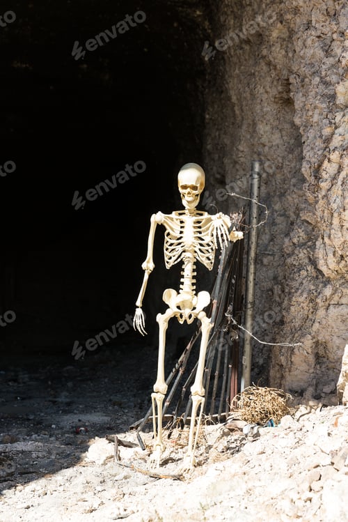 Preview: Skeleton In The Mouth Of A Mine In The Desert