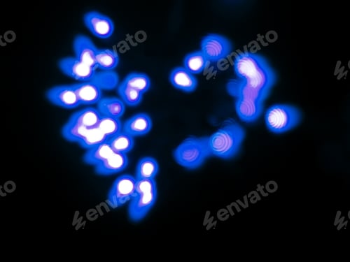 Preview: Blue Diffused Festive Holiday Background Of Christmas Lights