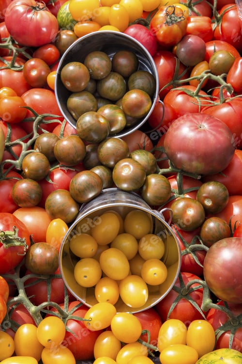 Preview: Organic Tomatoes Of Various Types On Display In A Outdoor Market