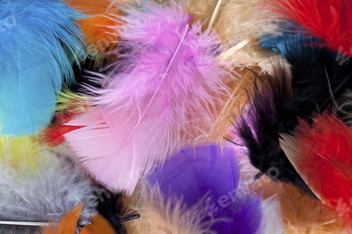Preview: Pillow Fillings Made Up Of Bird Feather In Different Colors.