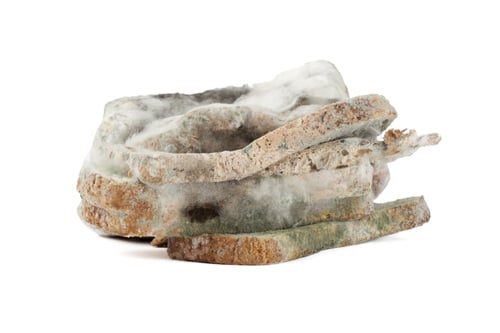 Preview: Moldy Bread Isolated On White Background