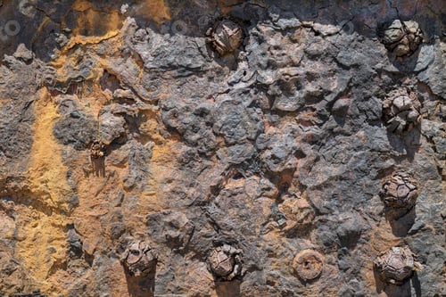 Preview: Rusted Iron Texture Background