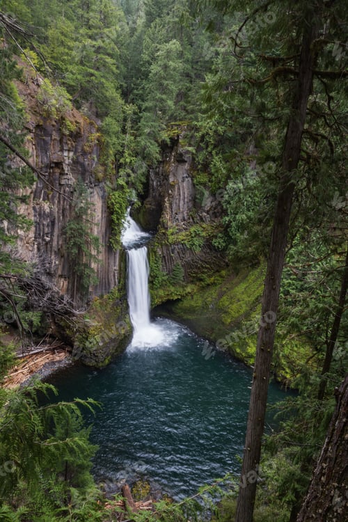 Preview: Toketee Falls In The North Umpqua River In The Umpqua National Forest In Oregon Early Springtime