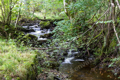 Preview: Tranquil Creek Flowing Thru The Eastern Scottish Highlands Near Killiecrankie