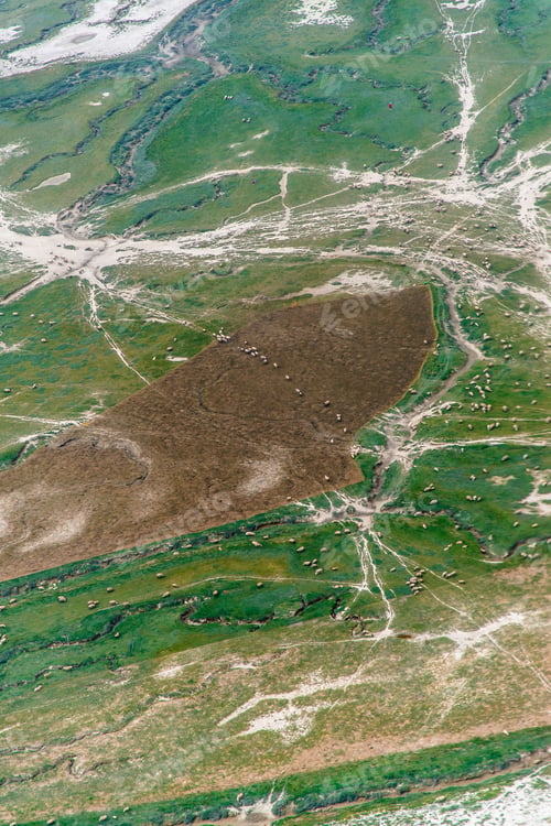 Preview: Aerial Portrait Photo Of A Huge, Lush Bay With Rivers, Water Holes And Animal Trails On A Cloudy