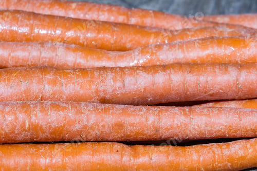 Preview: Fresh Organic Carrots On A Wooden Table Under Sunny Conditions