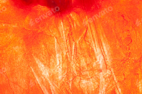 Preview: Colored Ice Texture Bubbles And Cracles , Taken With Macro Lens.