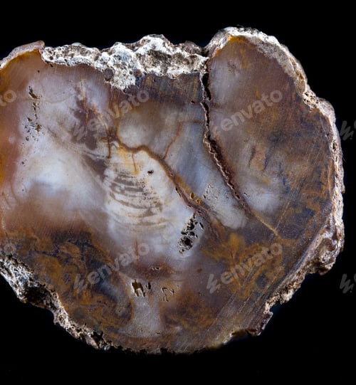 Preview: Close Up Of A Beautiful Polished Stone With Interesting Details In The Texture And Natural Colors
