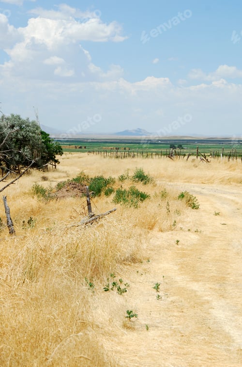 Preview: A Dirt Road Leadilng To A Meadow In The Southwestern Usa Countryside