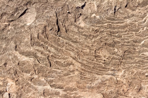 Preview: Close Up Of The Erosion Process And Multitude Of Layers On A Piece Of Sandstone