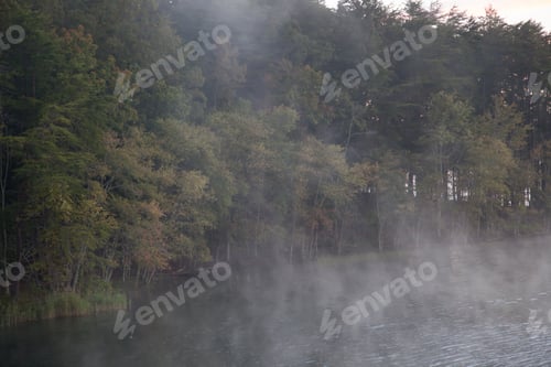 Preview: Early Morning Mist On A Quiet Lake Reflecting Trees