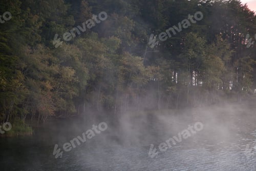 Preview: Early Morning Mist On A Quiet Lake Reflecting Trees